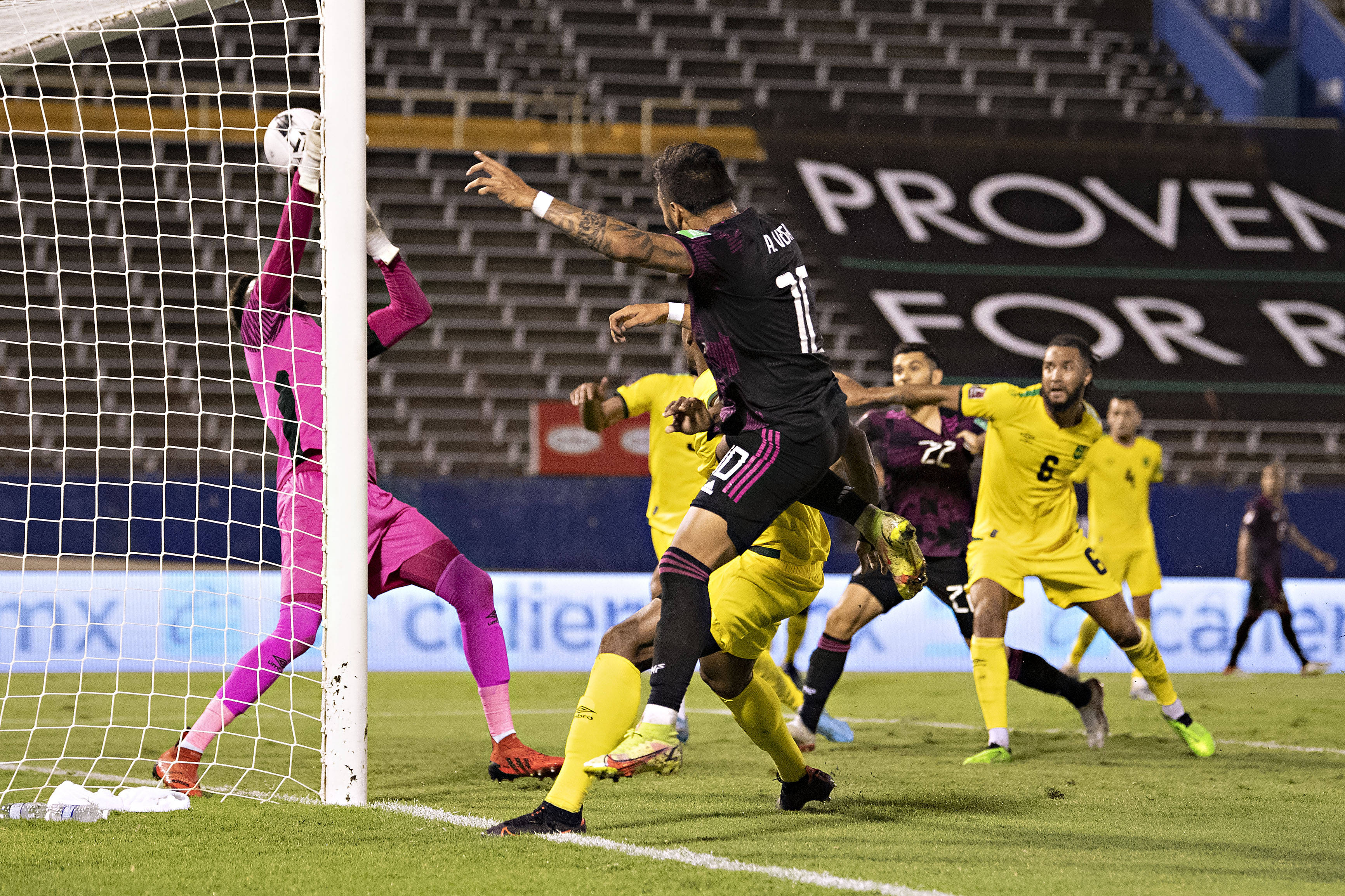  比鲁斯最怕哪三个人 